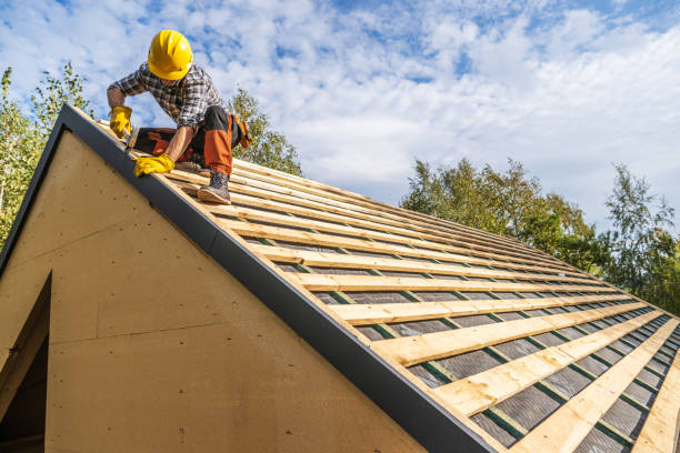 Best Local Roofing Companies  in Vancleave, MS