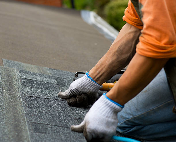 Best Emergency Roof Repair  in Vancleave, MS